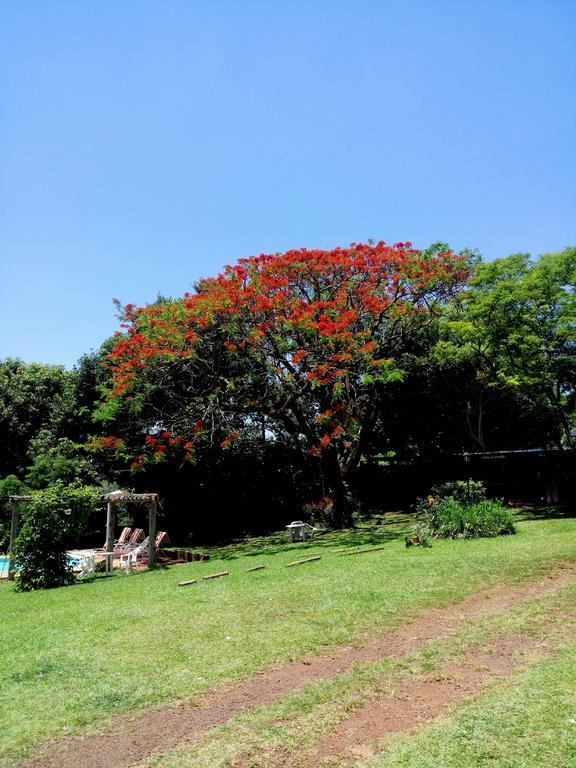 Hostel Y Posada Colibri Puerto Iguazú Dış mekan fotoğraf